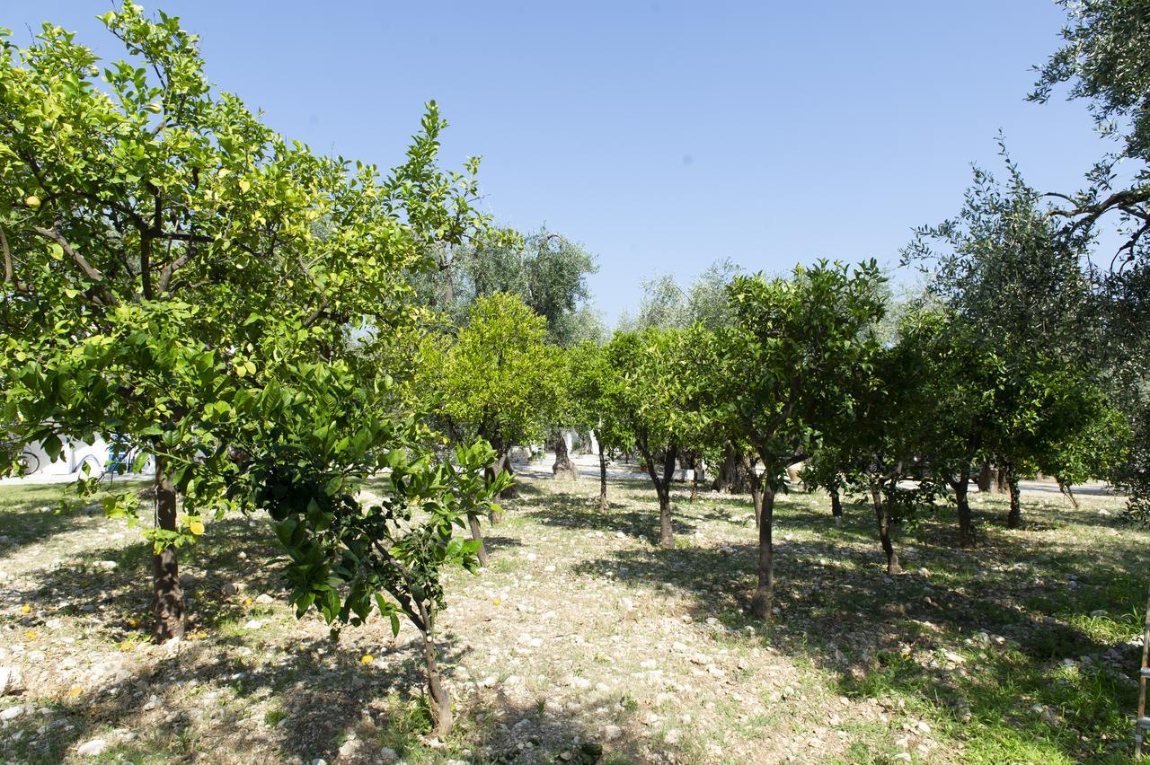 Tenuta Santa Maria Mattinata Eksteriør billede